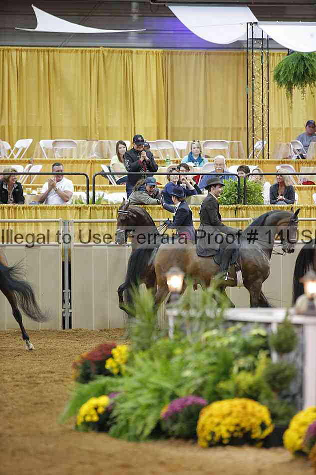 Proof 14usn_slideshow_07751