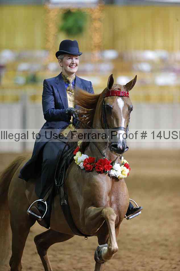 Proof 14usn_slideshow_07753