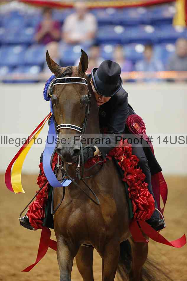Proof 14usn_slideshow_07756