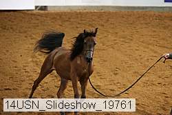 14usn_slideshow_19761 proof