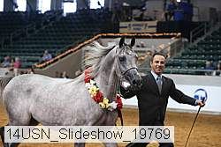 14usn_slideshow_19769 proof