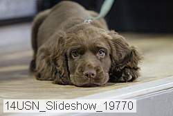 14usn_slideshow_19770 proof