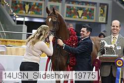 14usn_slideshow_19775 proof