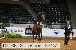 14usn_slideshow_33432 proof