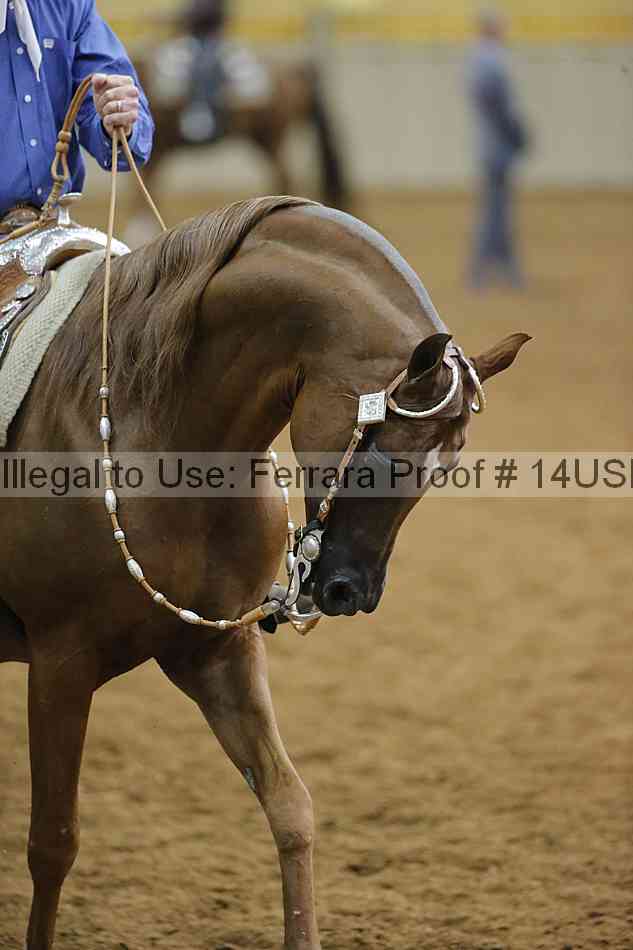 Proof 14usn_slideshow_33437