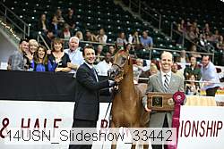 14usn_slideshow_33442 proof