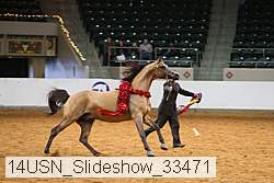 14usn_slideshow_33471 proof