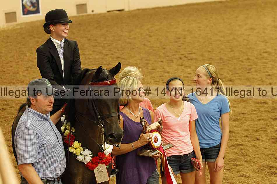 Proof 14yn_16417