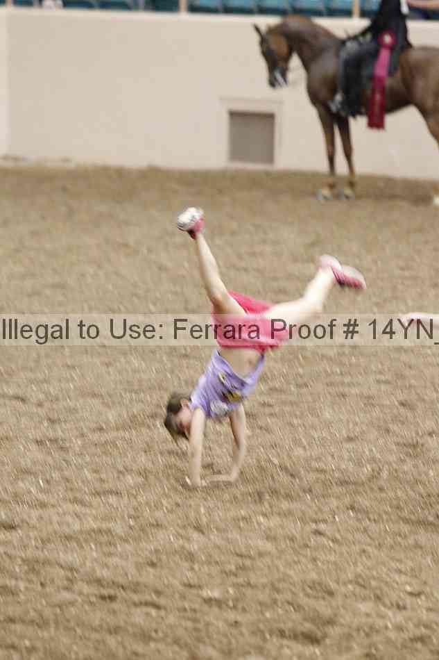 Proof 14yn_16431