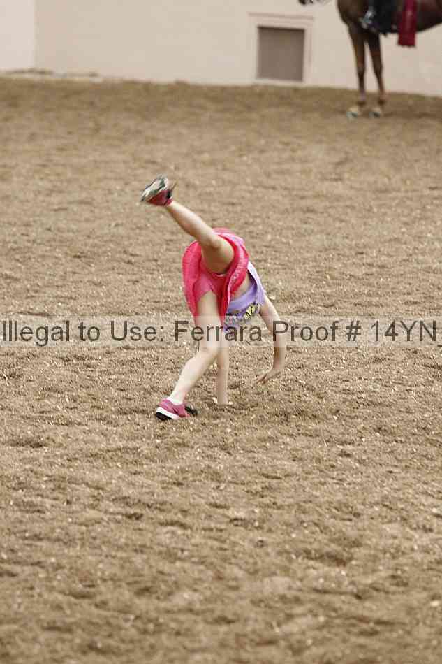 Proof 14yn_16432