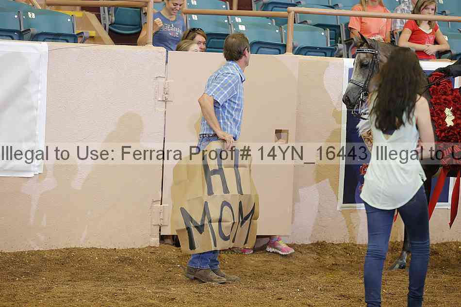 Proof 14yn_16443