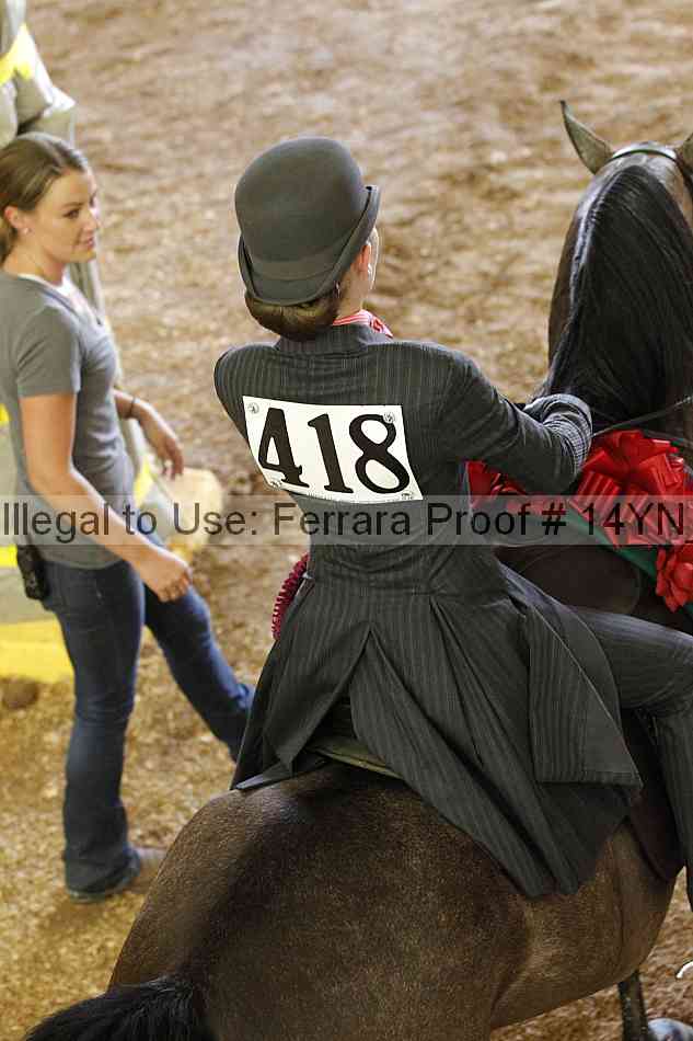 Proof 14yn_16491