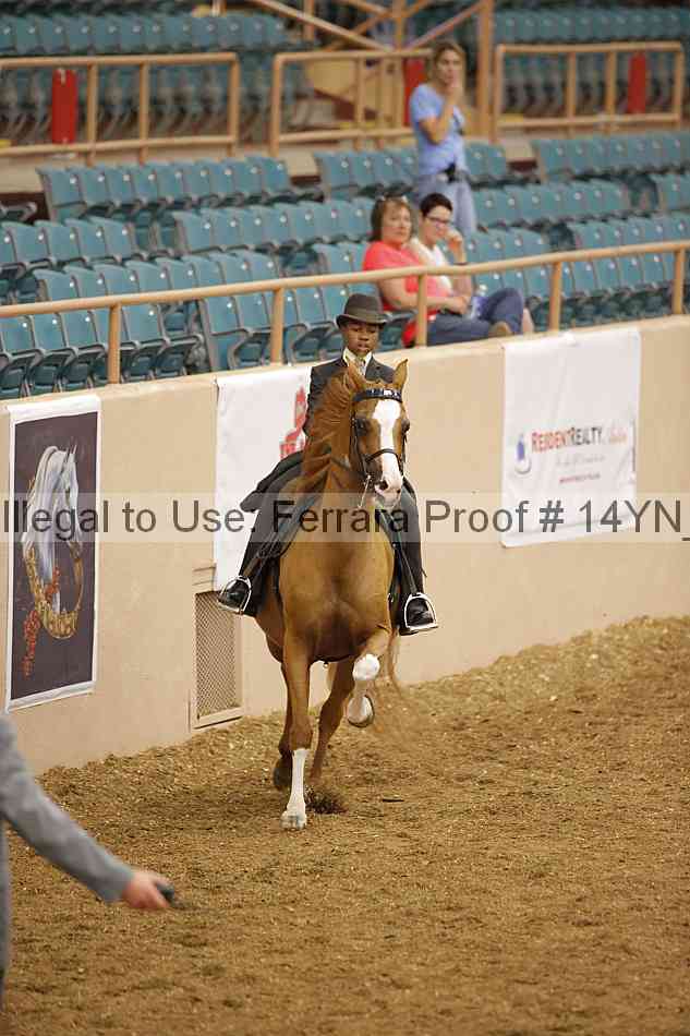 Proof 14yn_07615