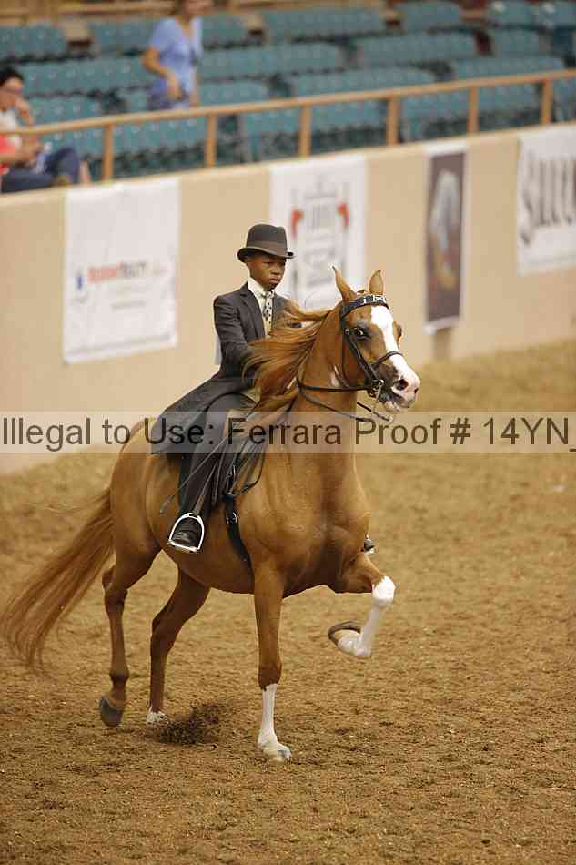 Proof 14yn_07616