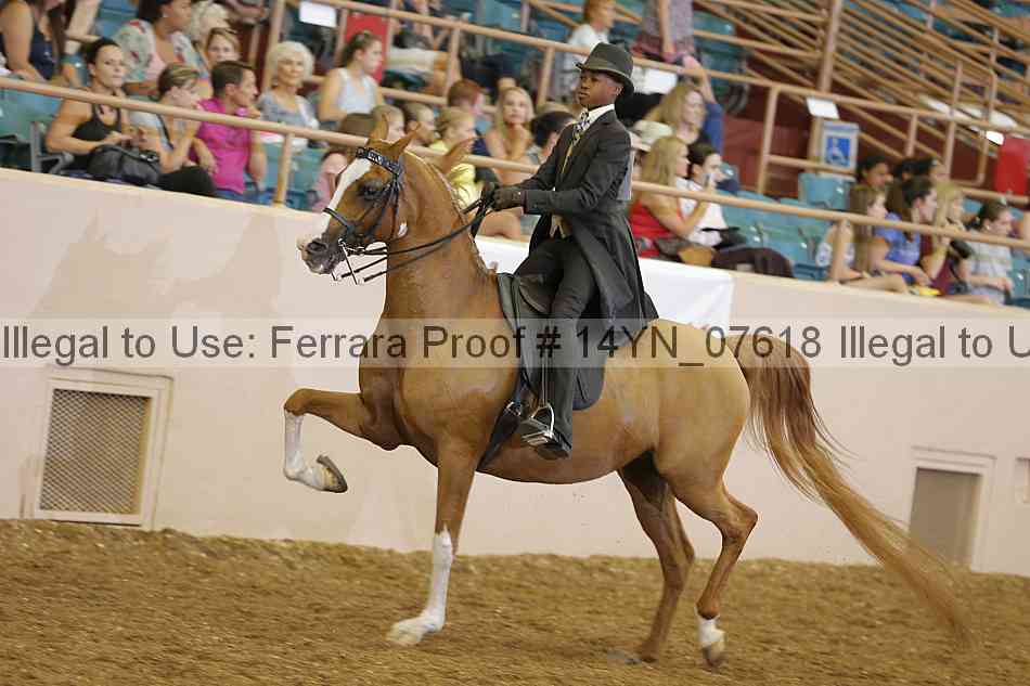 Proof 14yn_07618