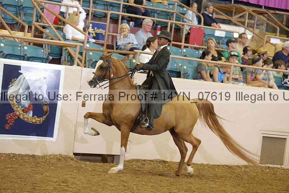 Proof 14yn_07619