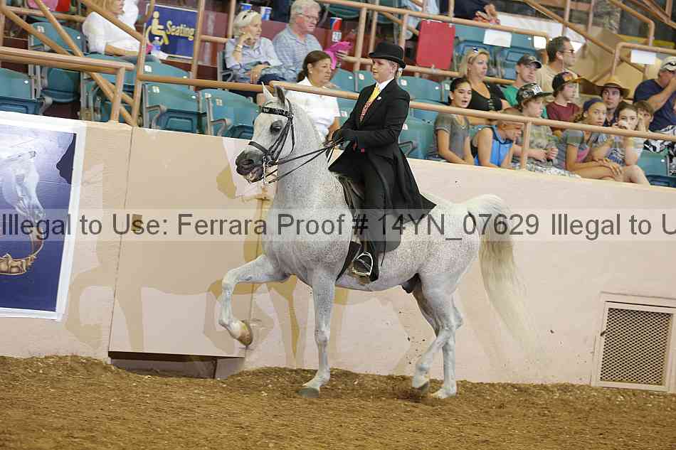 Proof 14yn_07629