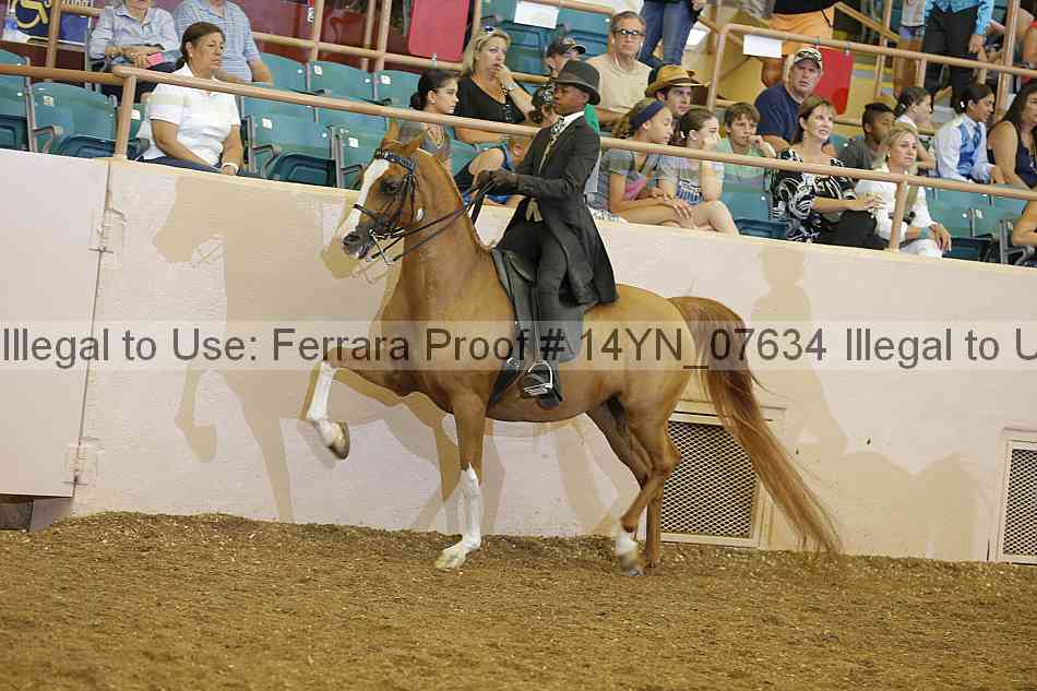 Proof 14yn_07634
