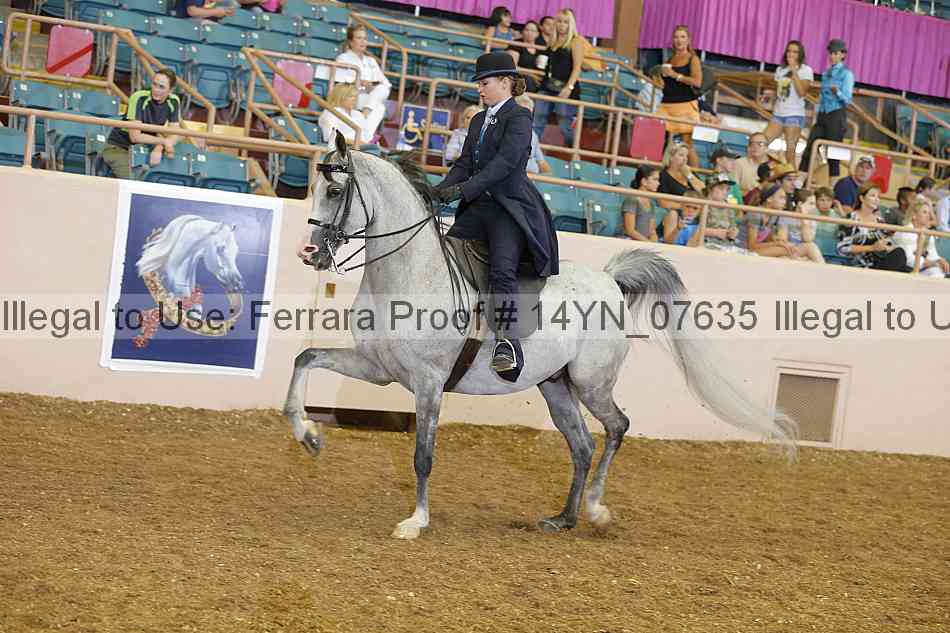 Proof 14yn_07635