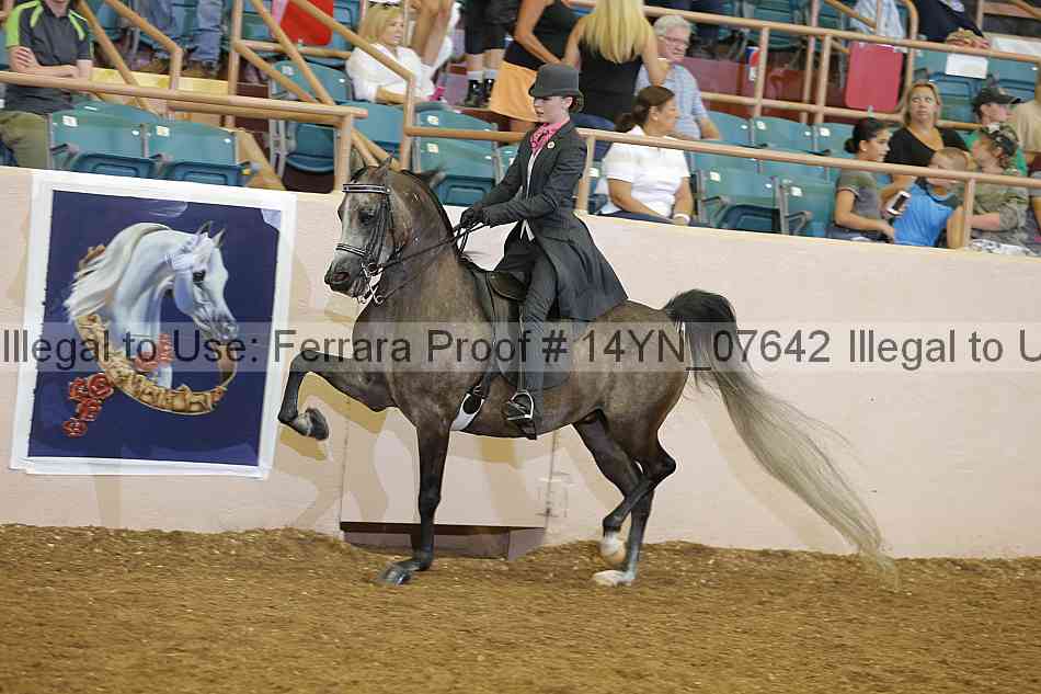 Proof 14yn_07642