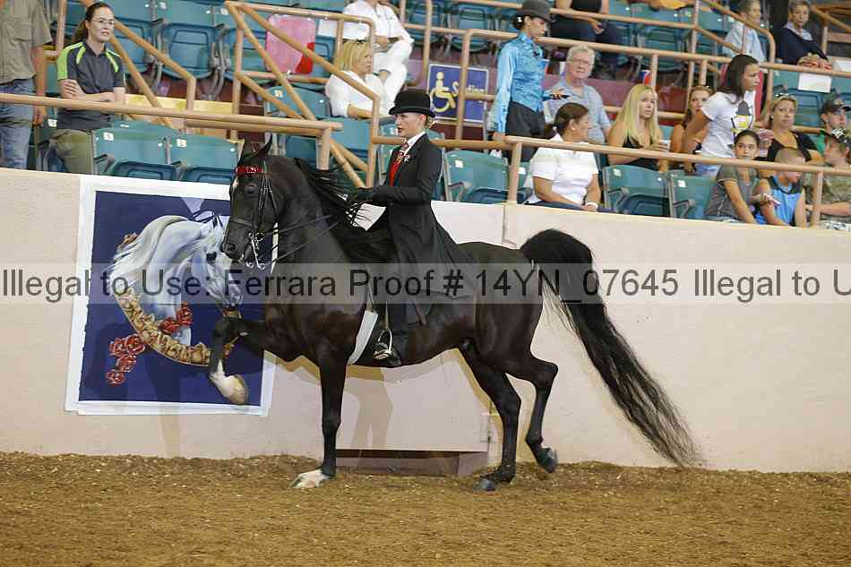 Proof 14yn_07645