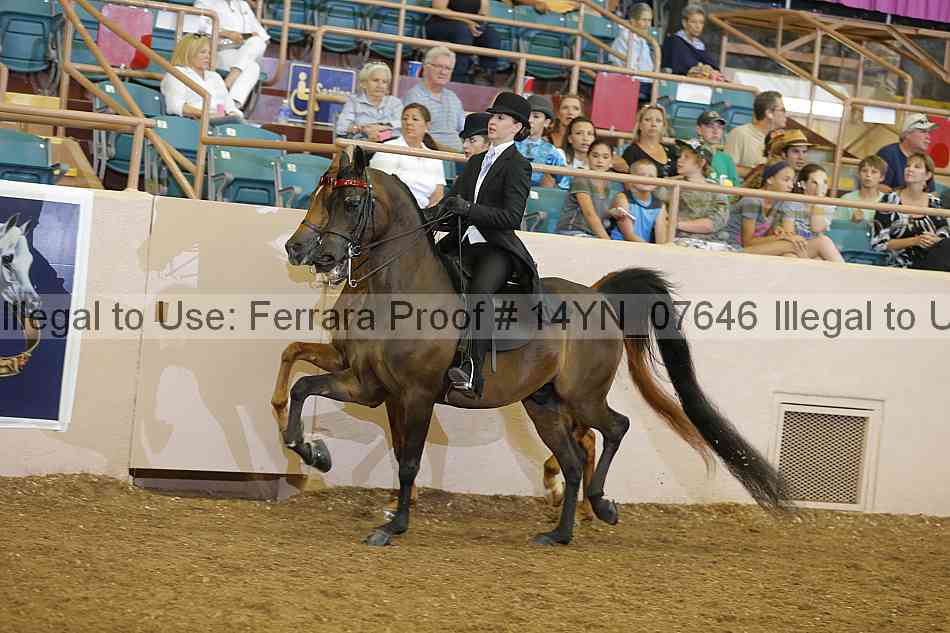 Proof 14yn_07646