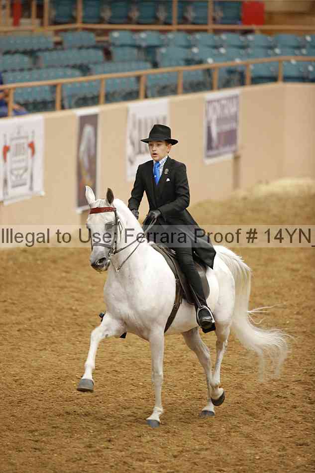 Proof 14yn_07649