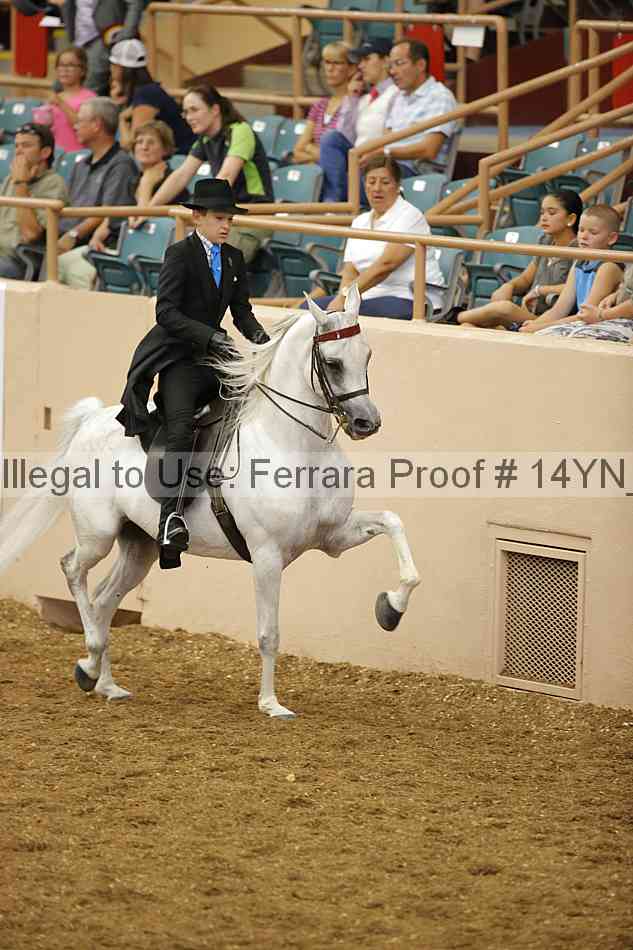 Proof 14yn_07652