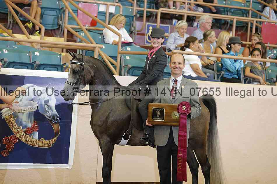 Proof 14yn_07655
