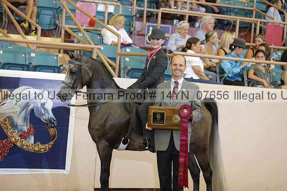 Proof 14yn_07656