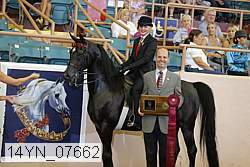 14yn_07662 proof