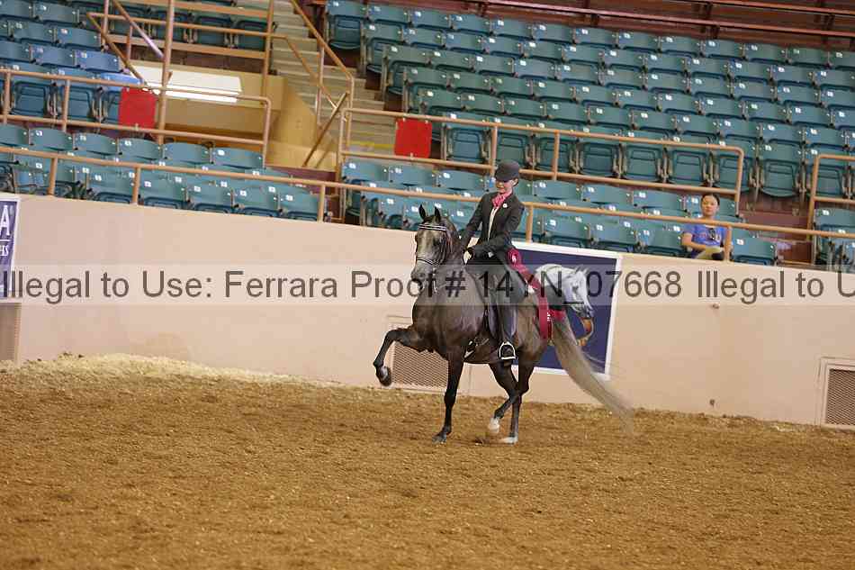 Proof 14yn_07668