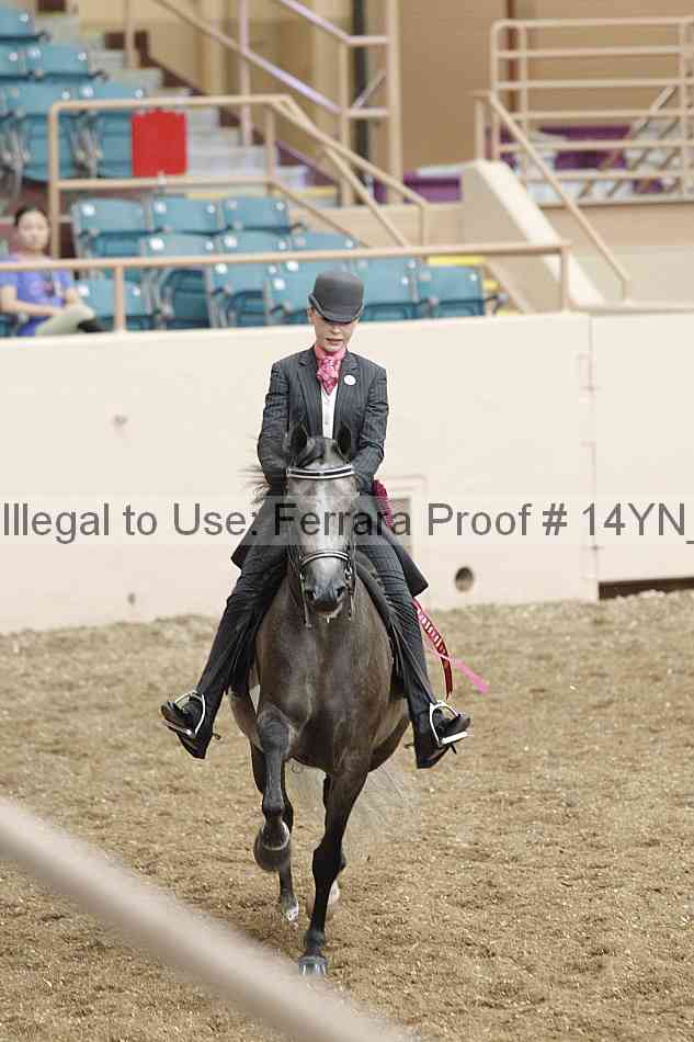 Proof 14yn_07669