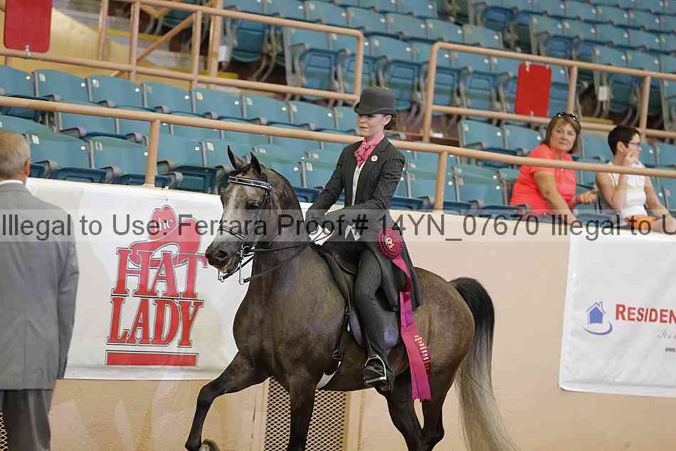 Proof 14yn_07670