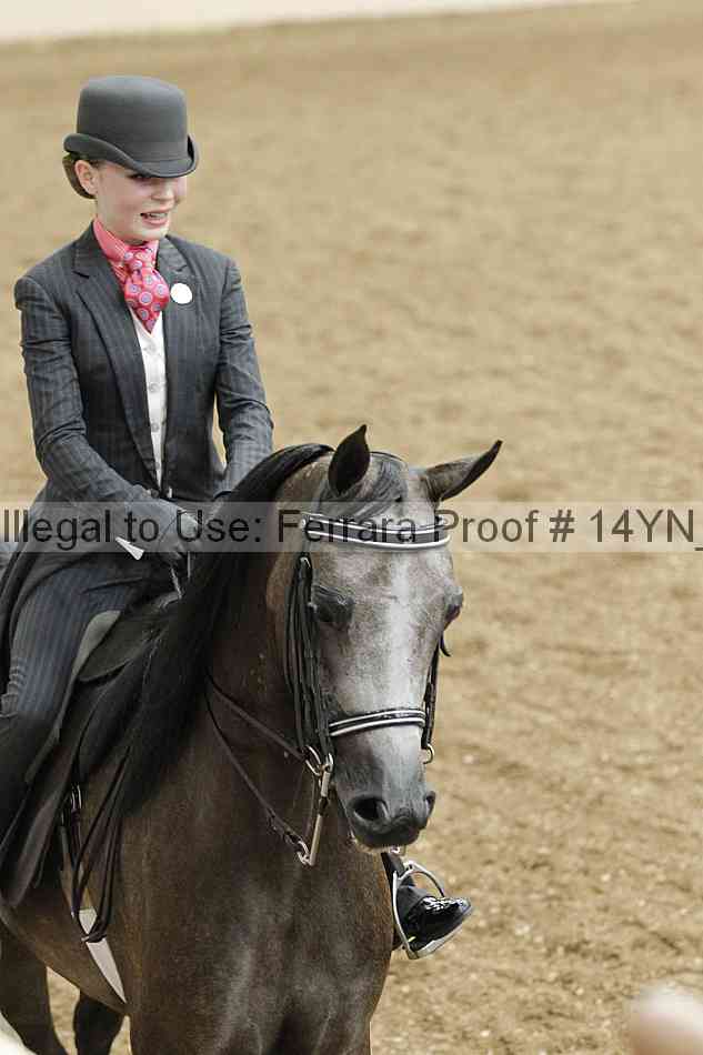 Proof 14yn_07671