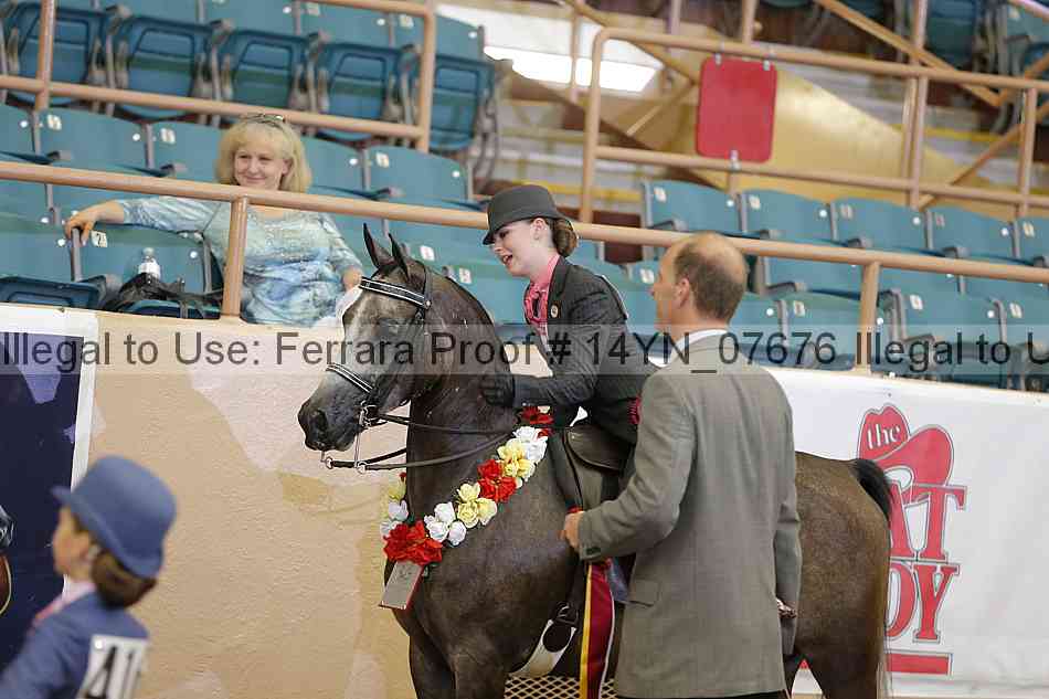 Proof 14yn_07676