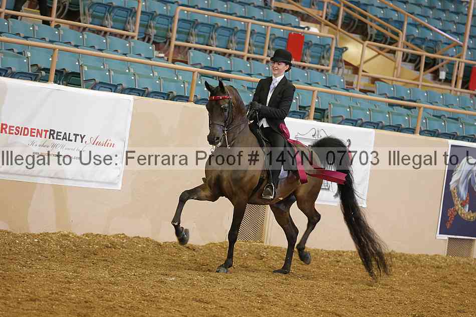 Proof 14yn_07703