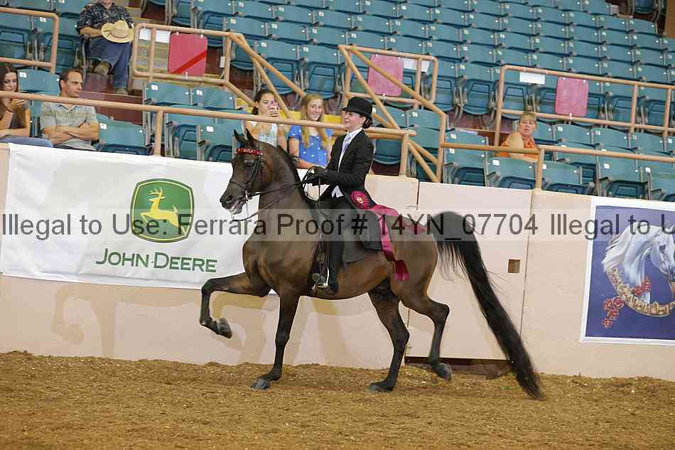 Proof 14yn_07704