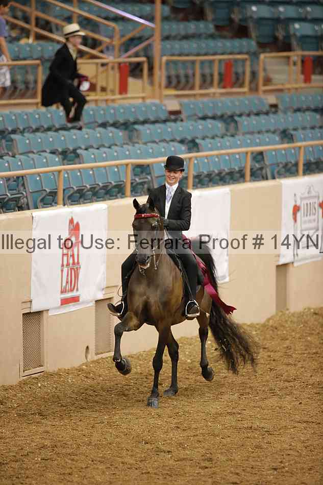Proof 14yn_07705