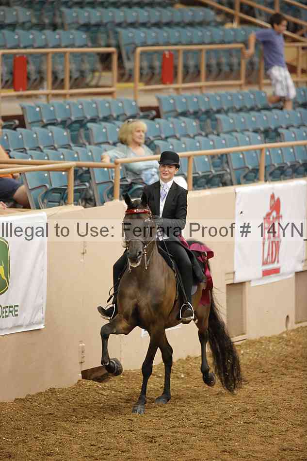 Proof 14yn_07706