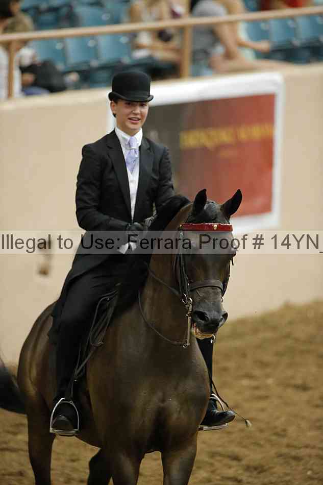 Proof 14yn_07708