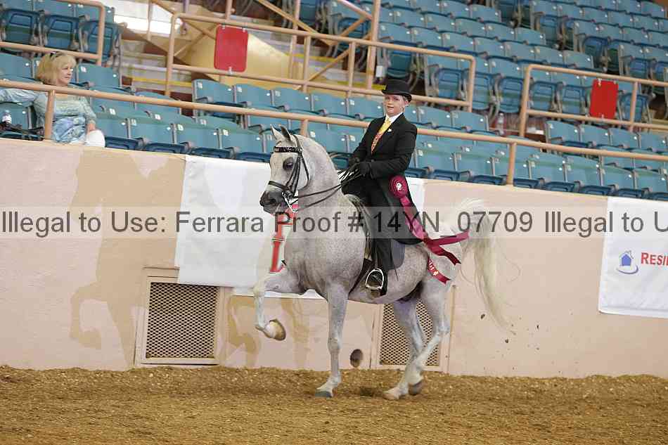 Proof 14yn_07709