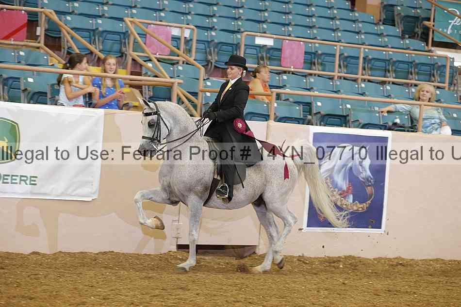 Proof 14yn_07710