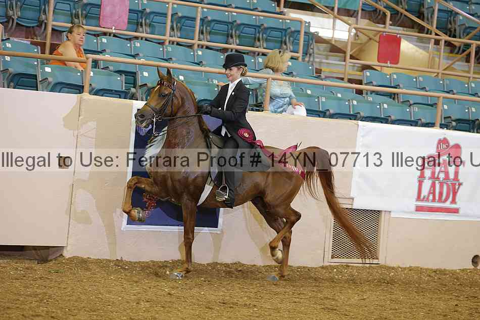 Proof 14yn_07713