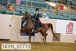 14yn_07713 proof