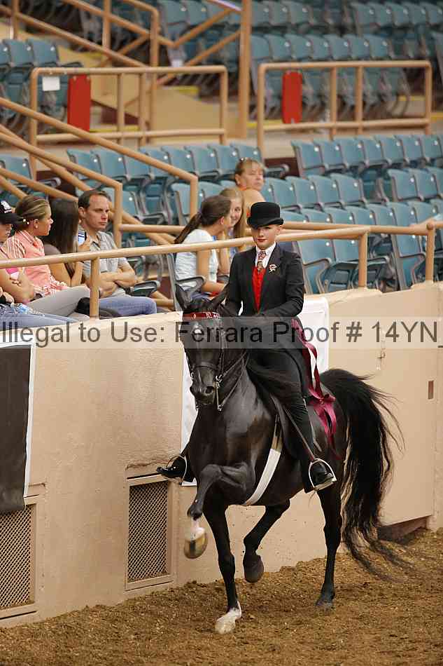 Proof 14yn_07718