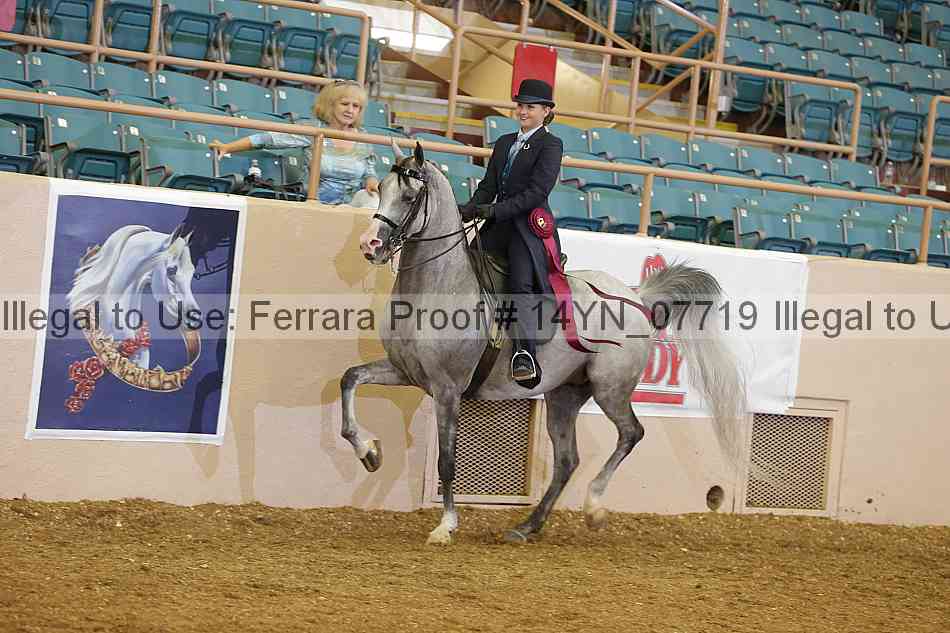 Proof 14yn_07719