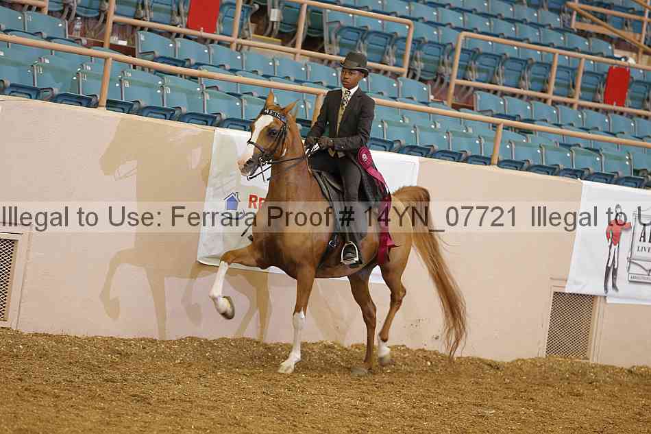 Proof 14yn_07721