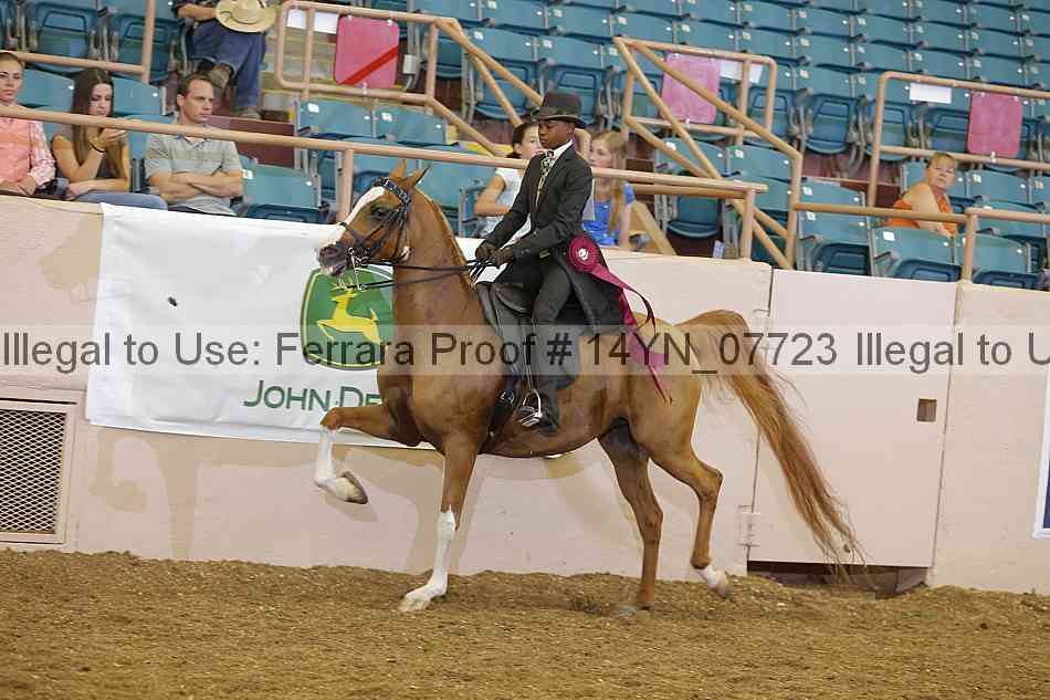Proof 14yn_07723