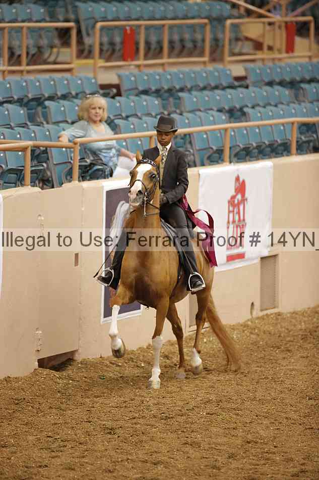 Proof 14yn_07726